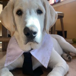 Meet your Posher, Madison